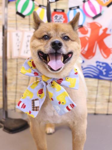 20240711やまとくん